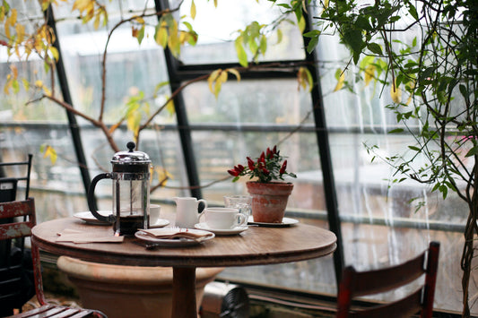 Why Choose Organic Coffee? A Guide for the Conscious Coffee Lover