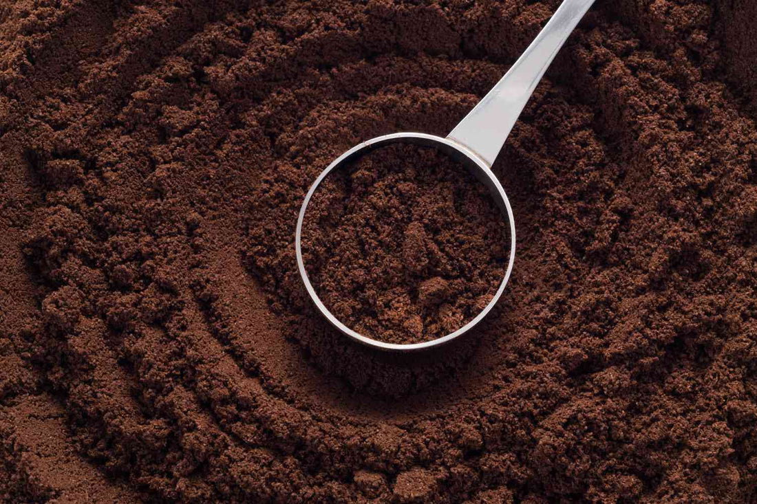 How to Recycle Coffee Grounds: Fun, Creative & Sustainable Ideas