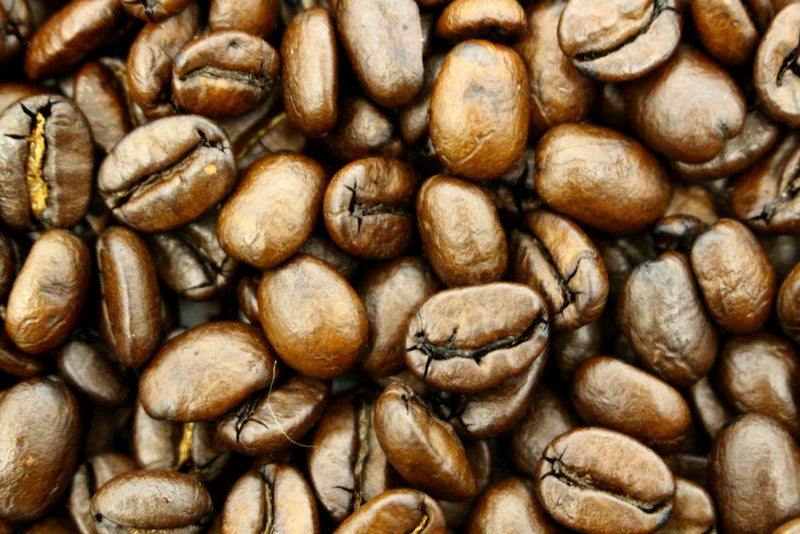 What Is Honey Processed Coffee?