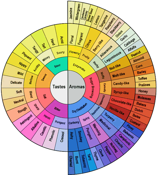 Why Do Some Coffees Taste Like Chocolate, Berries, or Citrus?